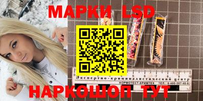 бошки Краснодар