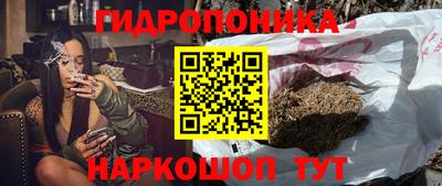 Альфа ПВП Краснознаменск